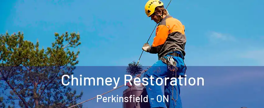  Chimney Restoration Perkinsfield - ON