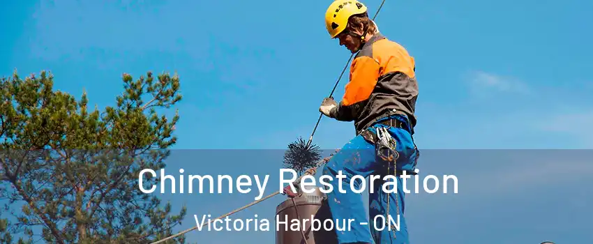  Chimney Restoration Victoria Harbour - ON