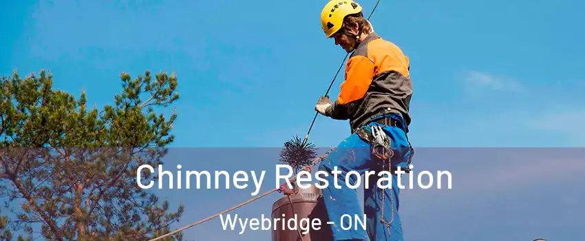  Chimney Restoration Wyebridge - ON