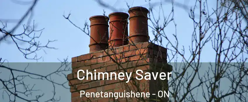  Chimney Saver Penetanguishene - ON