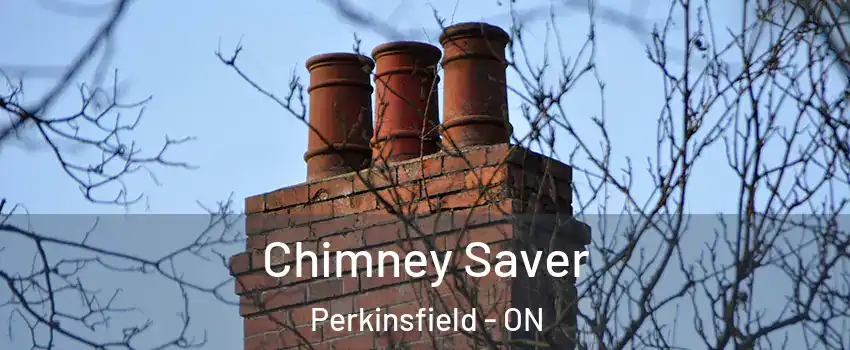  Chimney Saver Perkinsfield - ON