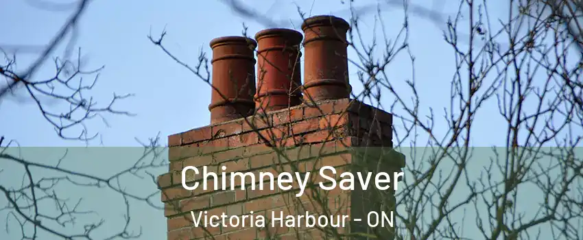 Chimney Saver Victoria Harbour - ON