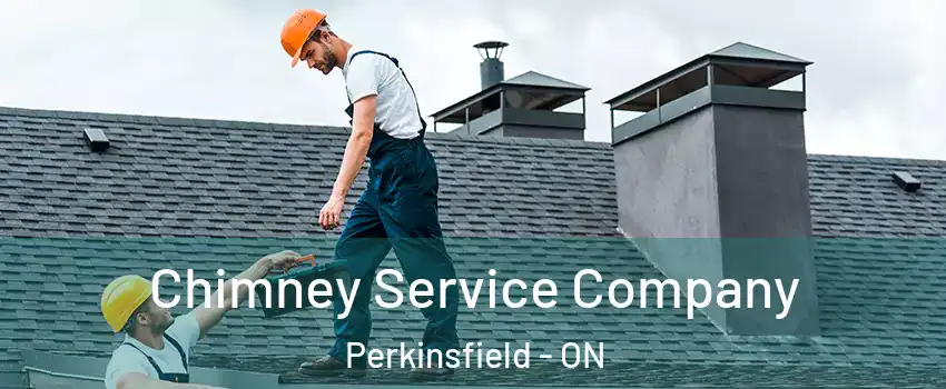  Chimney Service Company Perkinsfield - ON