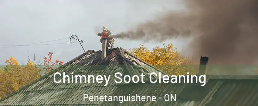  Chimney Soot Cleaning Penetanguishene - ON