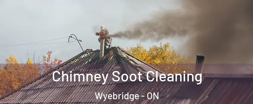  Chimney Soot Cleaning Wyebridge - ON