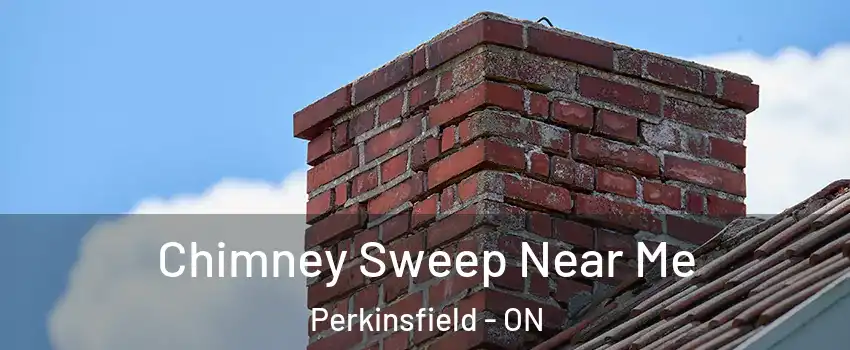  Chimney Sweep Near Me Perkinsfield - ON