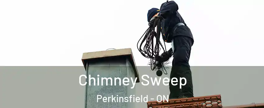  Chimney Sweep Perkinsfield - ON