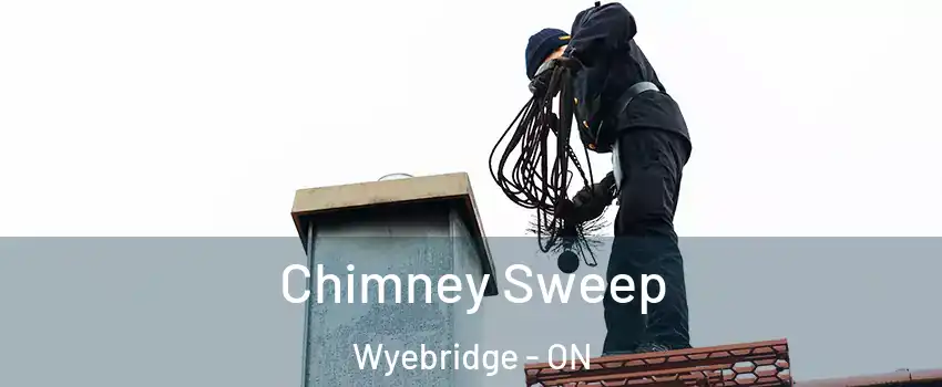  Chimney Sweep Wyebridge - ON