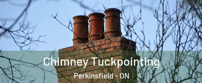  Chimney Tuckpointing Perkinsfield - ON
