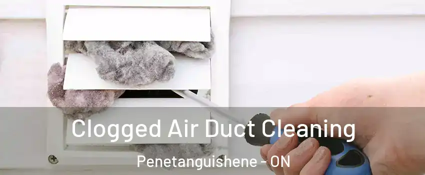  Clogged Air Duct Cleaning Penetanguishene - ON