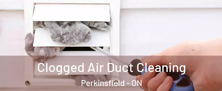  Clogged Air Duct Cleaning Perkinsfield - ON
