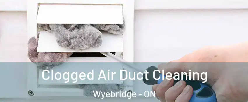  Clogged Air Duct Cleaning Wyebridge - ON