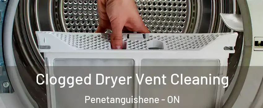  Clogged Dryer Vent Cleaning Penetanguishene - ON