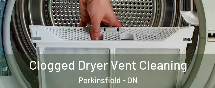  Clogged Dryer Vent Cleaning Perkinsfield - ON
