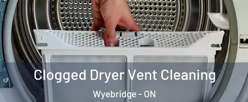  Clogged Dryer Vent Cleaning Wyebridge - ON