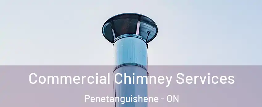  Commercial Chimney Services Penetanguishene - ON