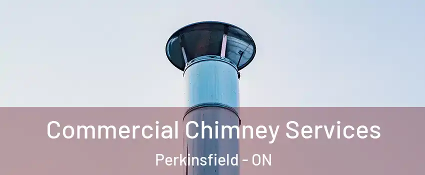  Commercial Chimney Services Perkinsfield - ON