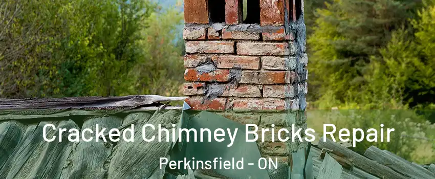  Cracked Chimney Bricks Repair Perkinsfield - ON