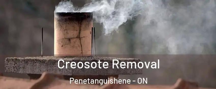  Creosote Removal Penetanguishene - ON