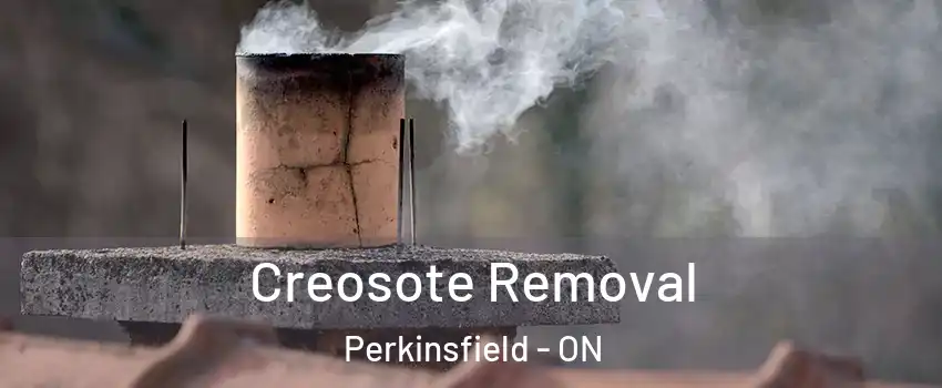  Creosote Removal Perkinsfield - ON