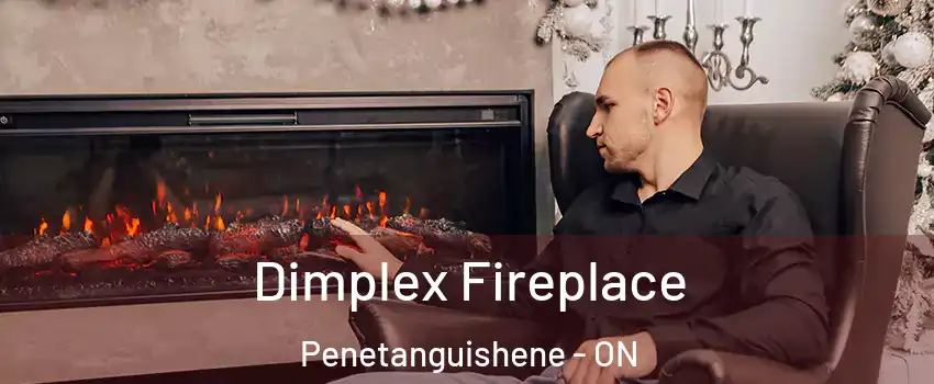  Dimplex Fireplace Penetanguishene - ON