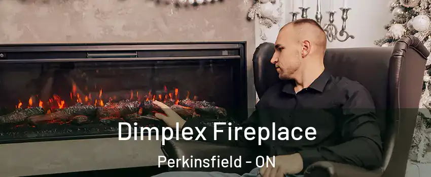  Dimplex Fireplace Perkinsfield - ON