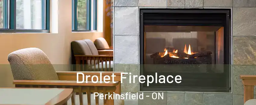  Drolet Fireplace Perkinsfield - ON