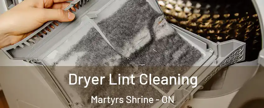  Dryer Lint Cleaning Martyrs Shrine - ON