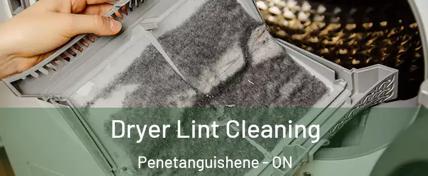  Dryer Lint Cleaning Penetanguishene - ON