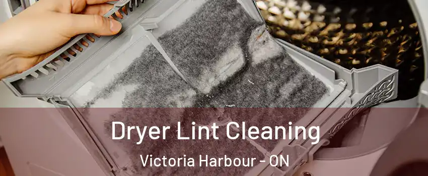  Dryer Lint Cleaning Victoria Harbour - ON