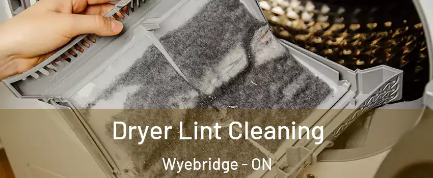  Dryer Lint Cleaning Wyebridge - ON