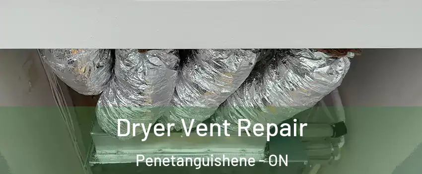  Dryer Vent Repair Penetanguishene - ON