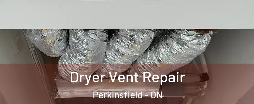  Dryer Vent Repair Perkinsfield - ON