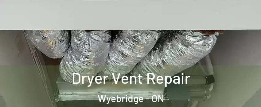  Dryer Vent Repair Wyebridge - ON
