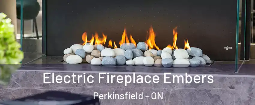  Electric Fireplace Embers Perkinsfield - ON