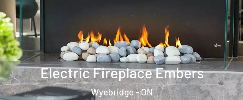  Electric Fireplace Embers Wyebridge - ON