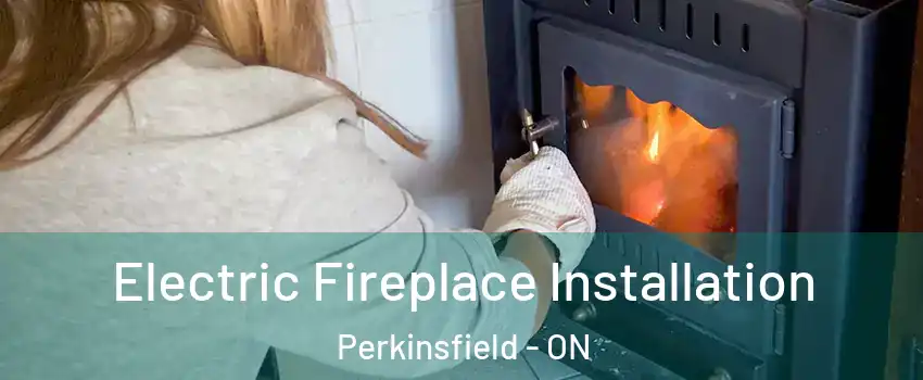  Electric Fireplace Installation Perkinsfield - ON