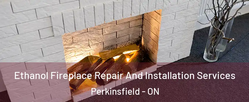  Ethanol Fireplace Repair And Installation Services Perkinsfield - ON