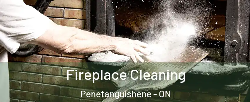 Fireplace Cleaning Penetanguishene - ON