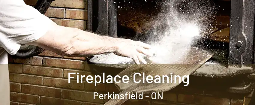  Fireplace Cleaning Perkinsfield - ON