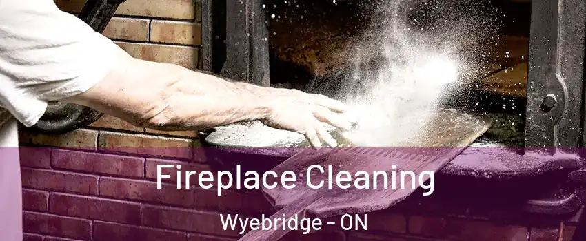  Fireplace Cleaning Wyebridge - ON