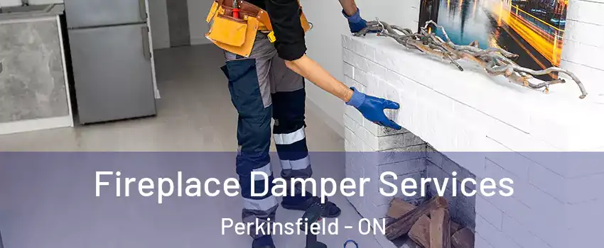 Fireplace Damper Services Perkinsfield - ON