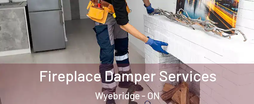  Fireplace Damper Services Wyebridge - ON