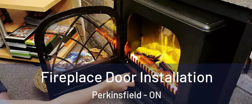  Fireplace Door Installation Perkinsfield - ON