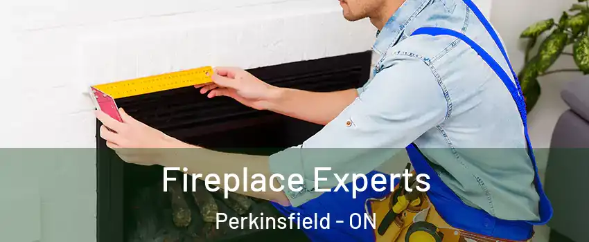  Fireplace Experts Perkinsfield - ON