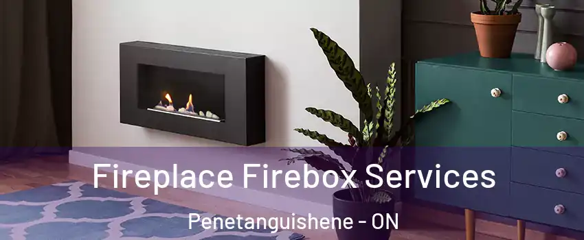  Fireplace Firebox Services Penetanguishene - ON