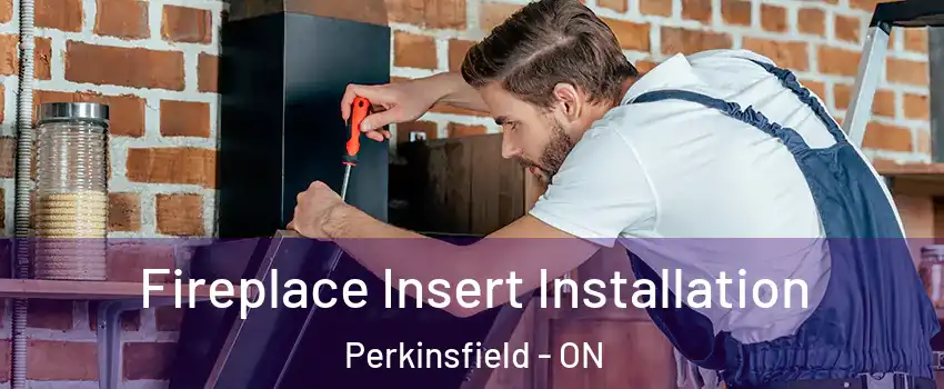  Fireplace Insert Installation Perkinsfield - ON