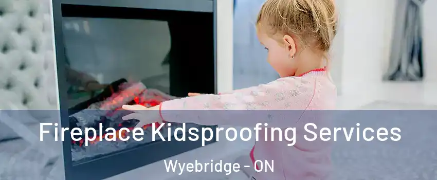  Fireplace Kidsproofing Services Wyebridge - ON