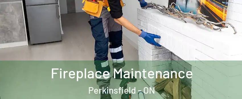  Fireplace Maintenance Perkinsfield - ON