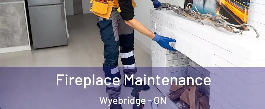  Fireplace Maintenance Wyebridge - ON